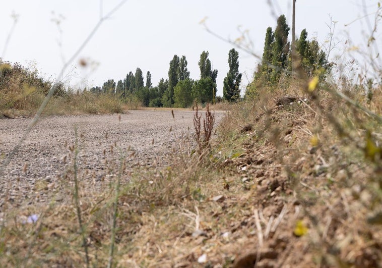 El ADN confirma que el cuerpo hallado en el PRAE es el del exmilitar desaparecido durante tres meses